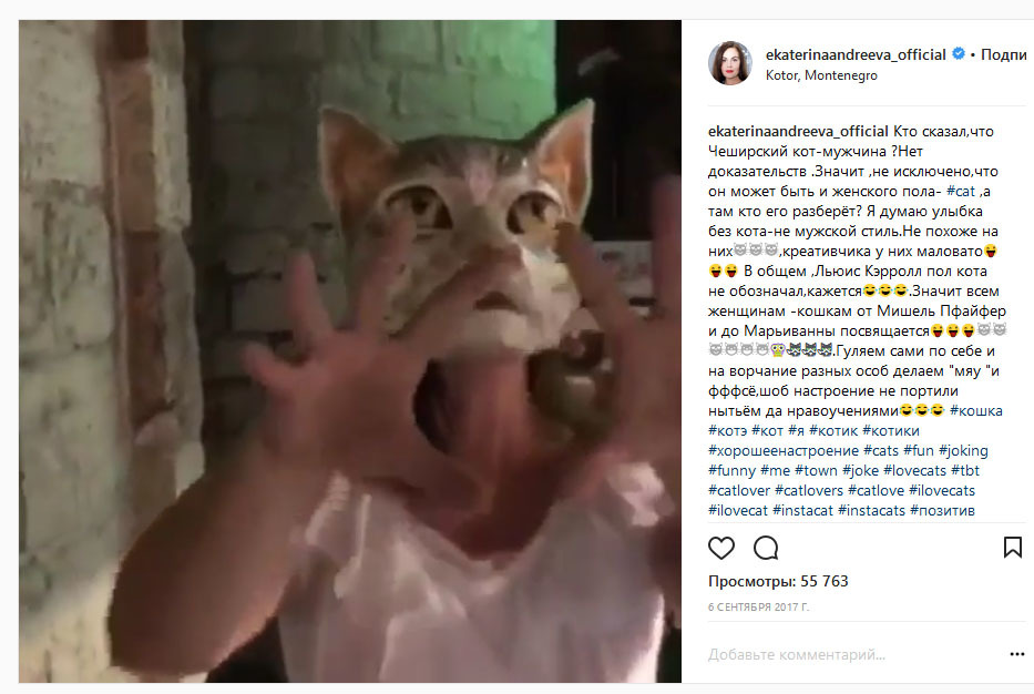 скриншот страницы/instagram.com/ekaterinaandreeva_official